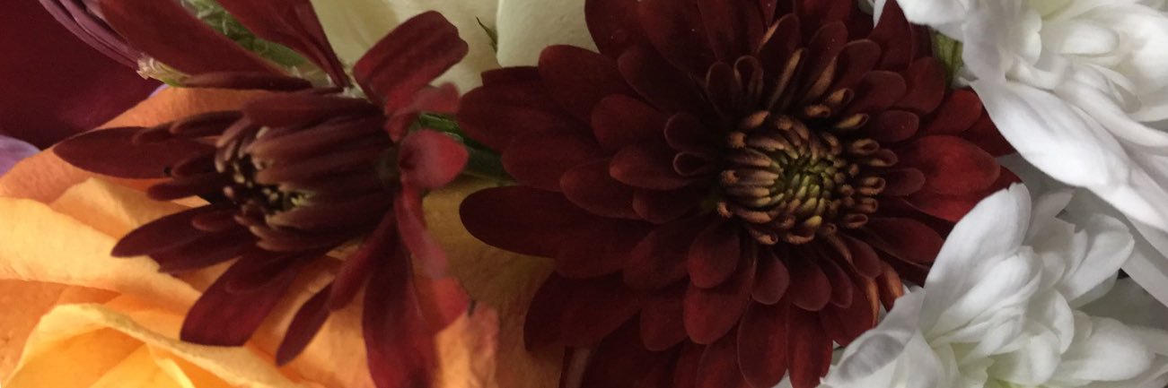 mayami565's profile banner image