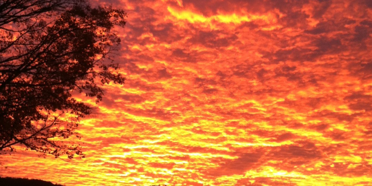 Barley's Asheville banner