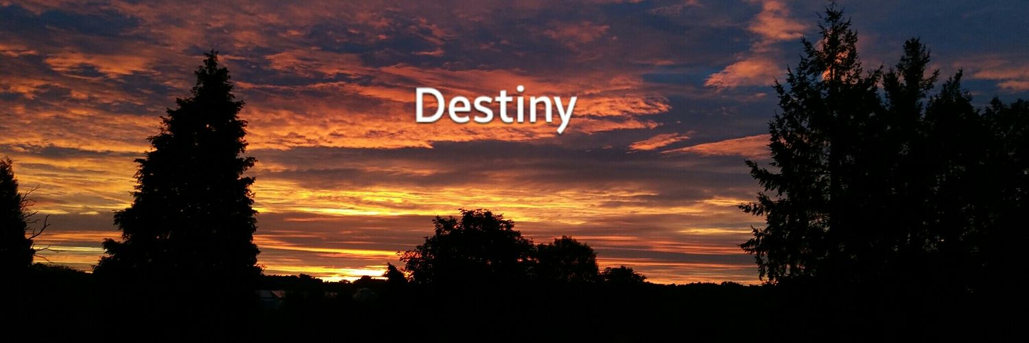 destinybine's profile banner image