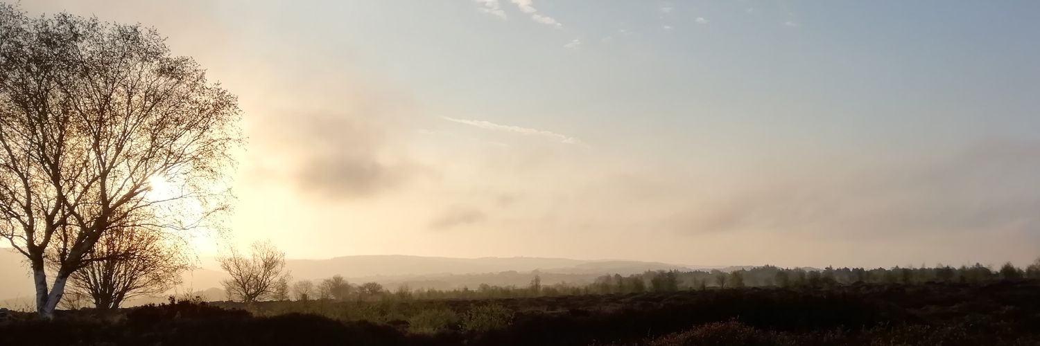 Daisy Shale banner