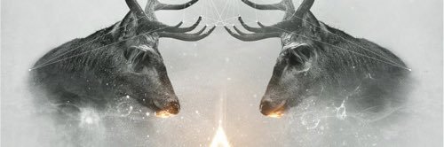 Marcos_Zerep's profile banner image