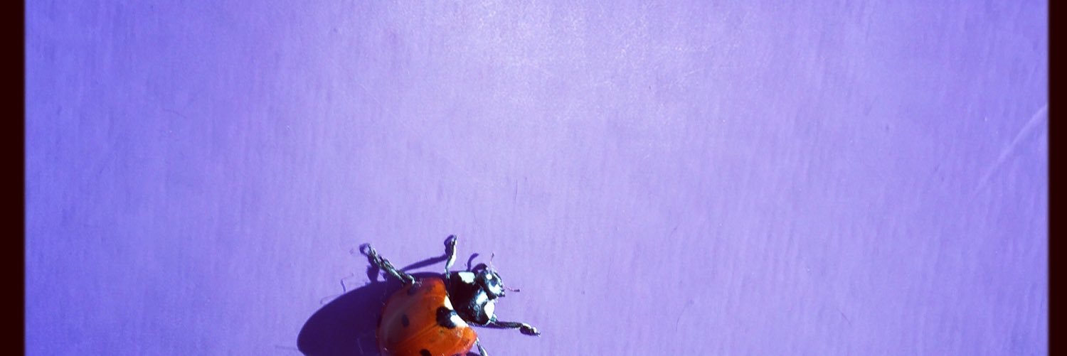 onlineSacha's profile banner image