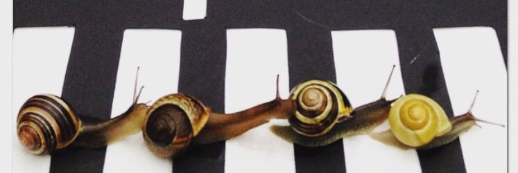 Josskito's profile banner image