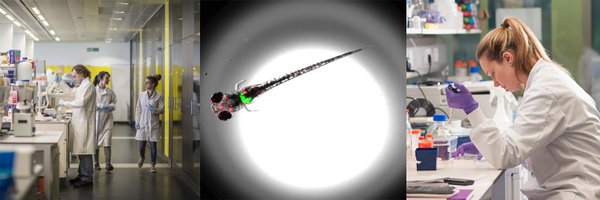 MedEdin Profile Banner