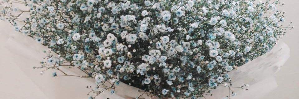 019870701's profile banner image