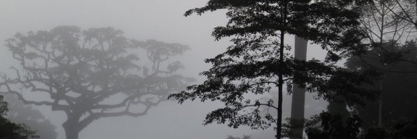 clivethomas_SA Profile Banner