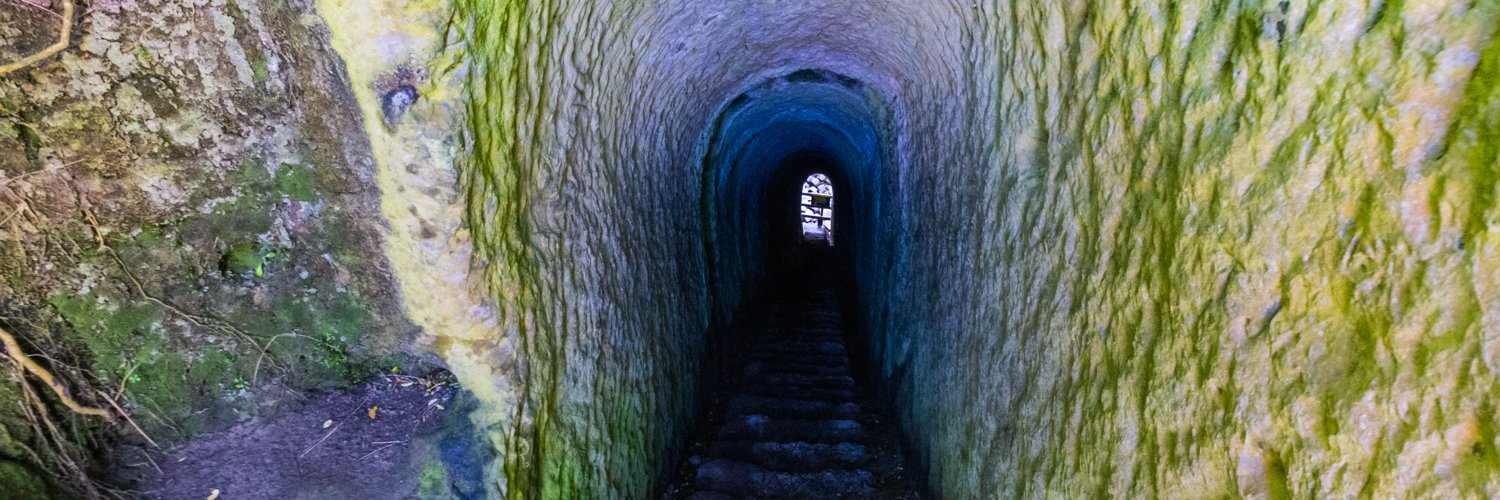 FactsNz's profile banner image