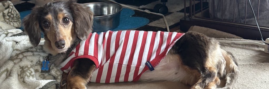 あんあん＆R🐶 banner