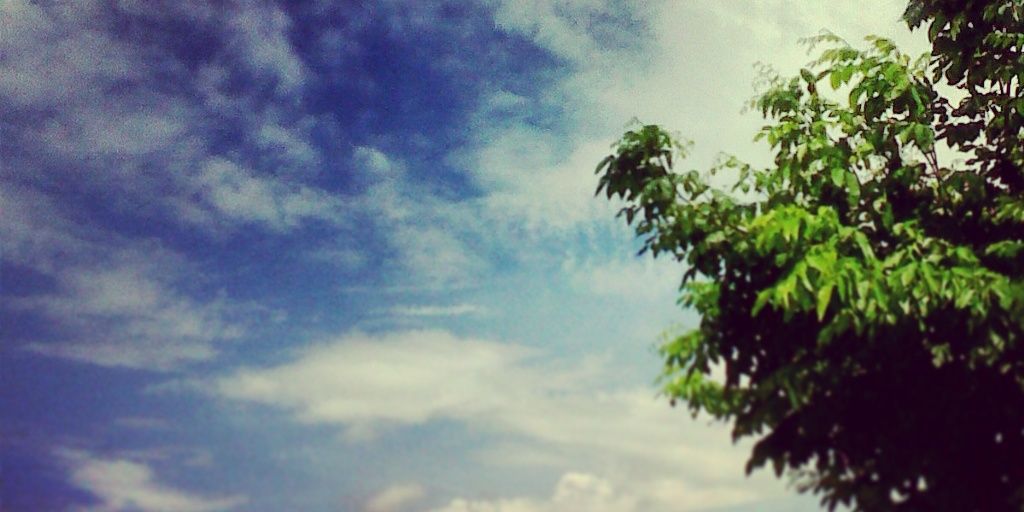 desireeADE's profile banner image