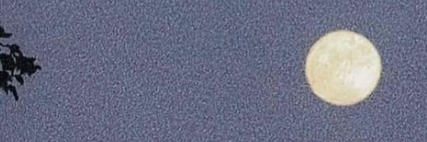 bamontwit Profile Banner