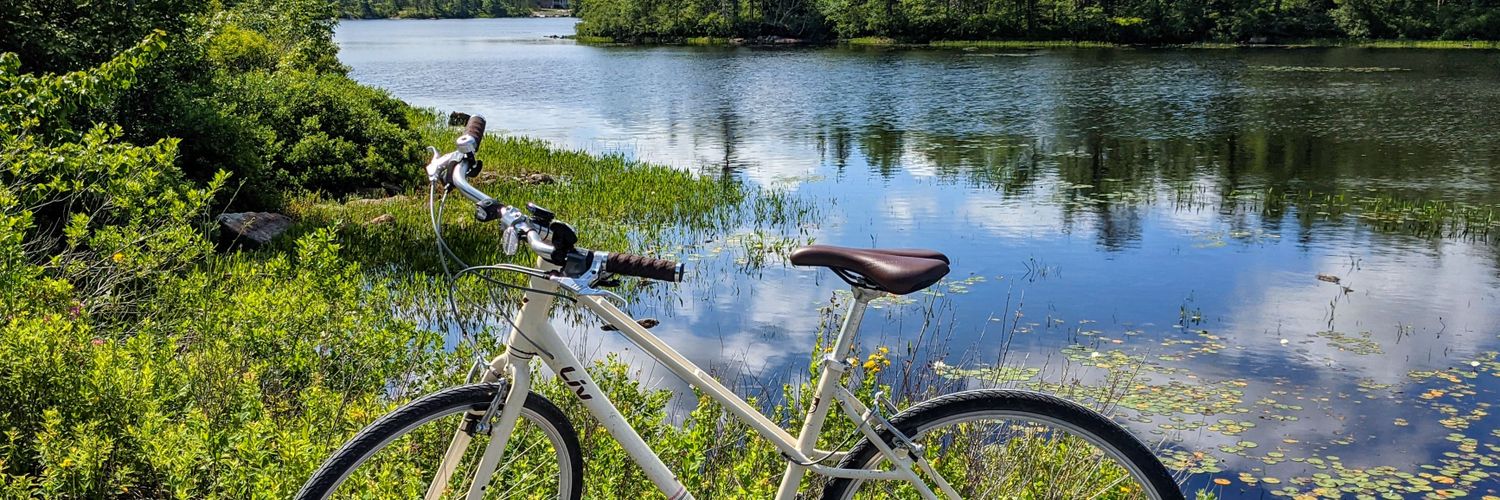 Heather Desserud banner