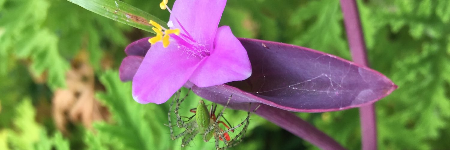 matildegove's profile banner image