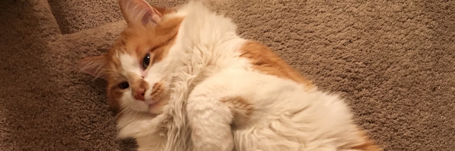 Maggi Leonard banner