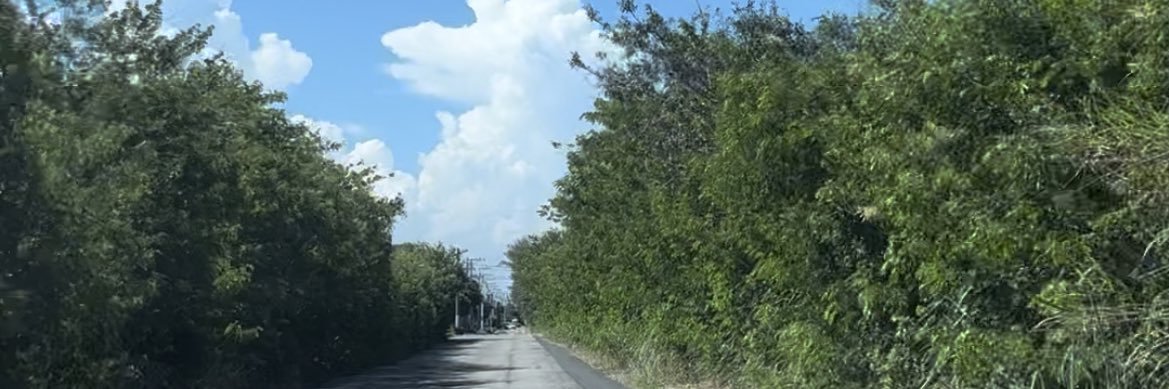 aviapassiar's profile banner image