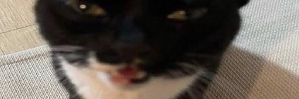 Yuusakis Profile Banner