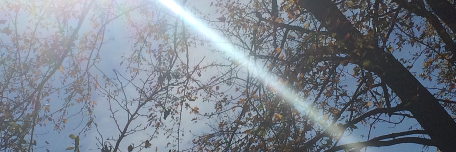 xauntkatie's profile banner image