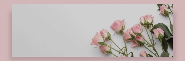 jihoon_bebe's profile banner image