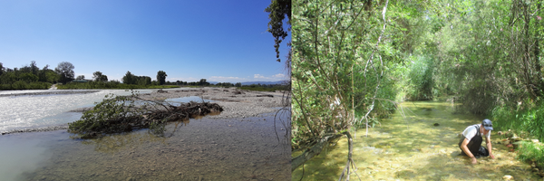 S_Guareschi Profile Banner