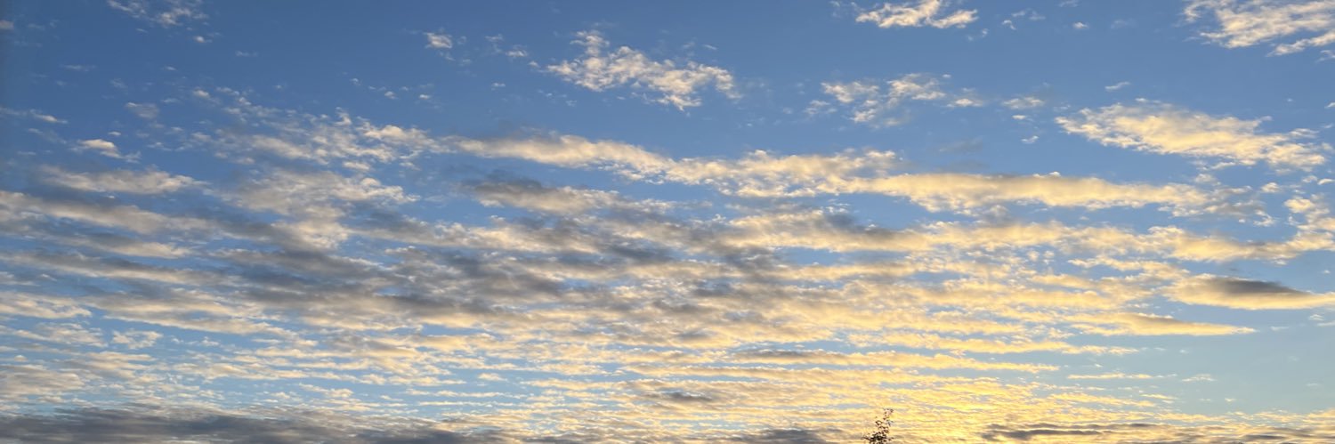 xipher's profile banner image