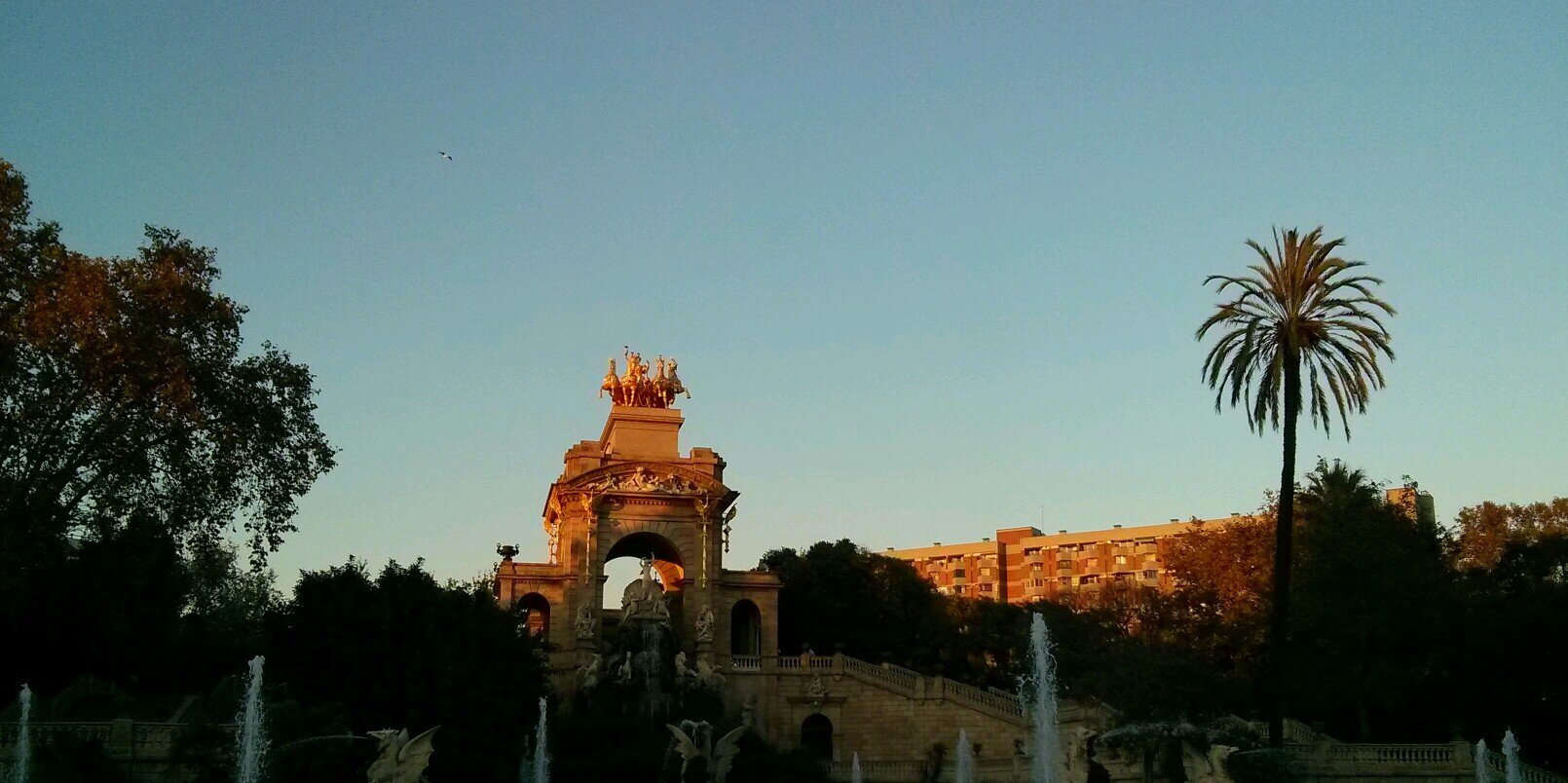 Maria Victoria Boix banner