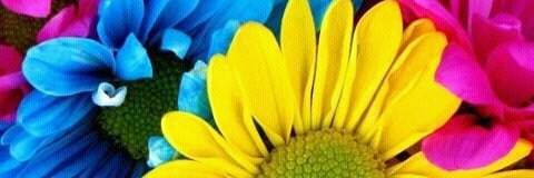 susilkumarbeher's profile banner image