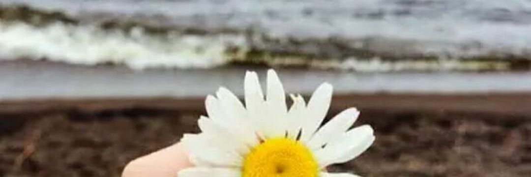 29Loo's profile banner image