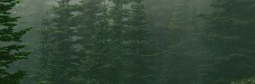 celofan___'s profile banner image