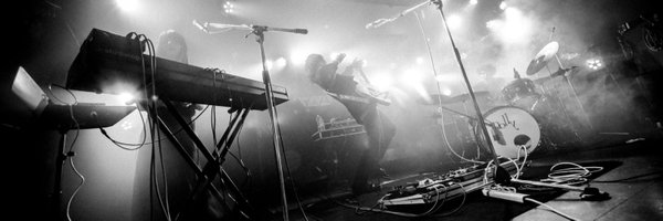 polly__jp Profile Banner