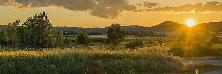 TinaMcclainjfvy's profile banner image