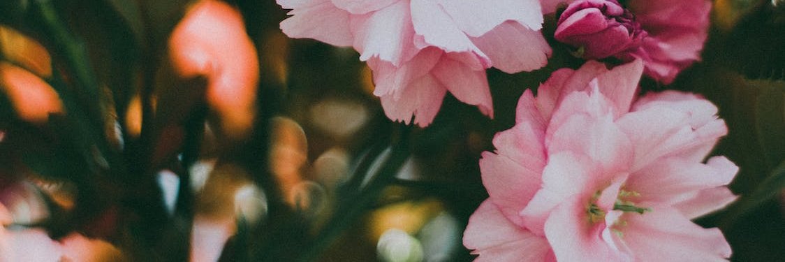 Everaldo banner