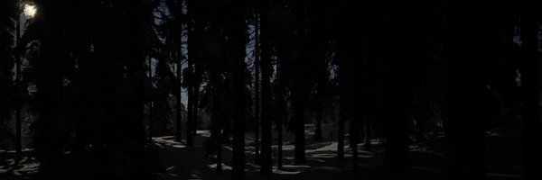 SISUXA203 Profile Banner