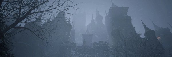 RE_Wiki Profile Banner