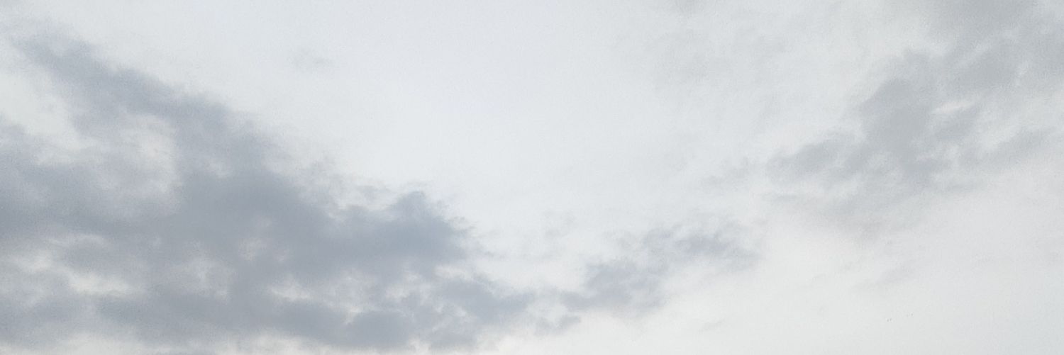snowishyu's profile banner image