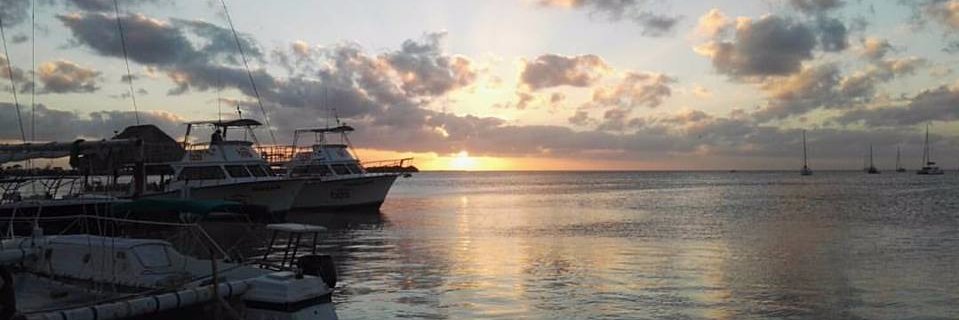 laurisgom's profile banner image