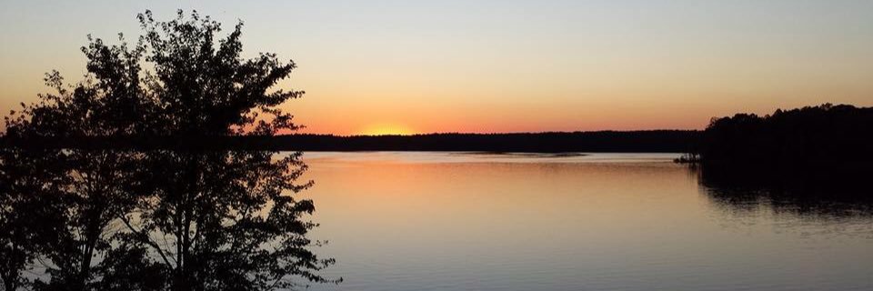 BridgetteChristopher banner