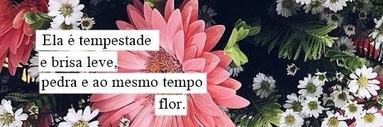 srta_Persephone's profile banner image