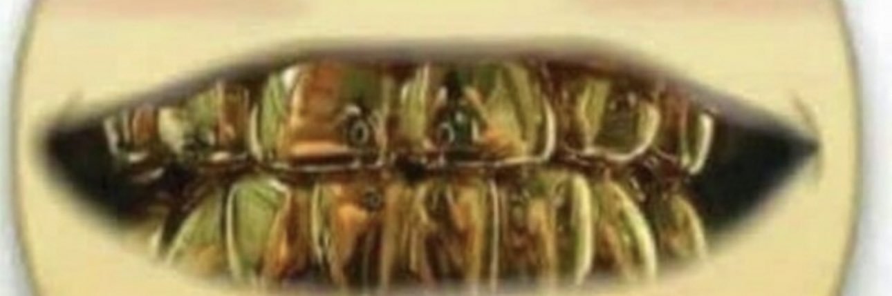 muckcounty's profile banner image