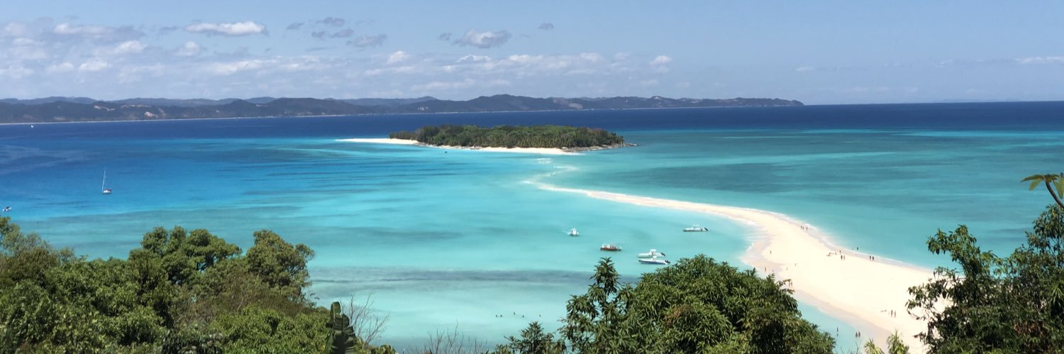 Tomasz 🦋🦋🦋 banner