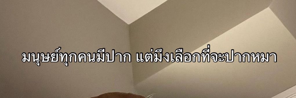 หนูขึ้นสวรรค์เลยลูก เดี๋ยวแม่เลวเอง banner