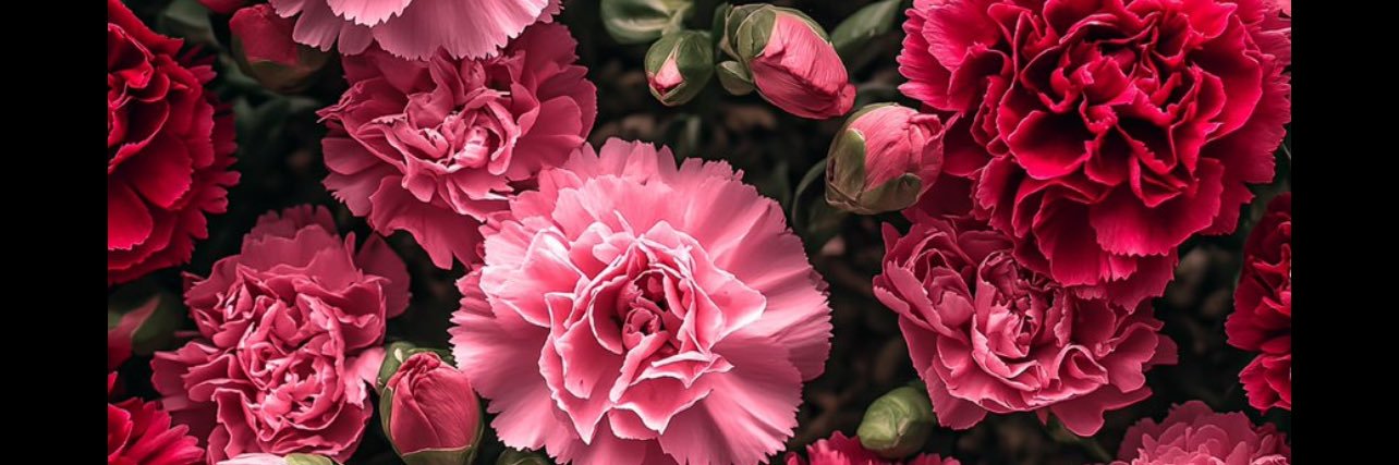 isthiskeri's profile banner image