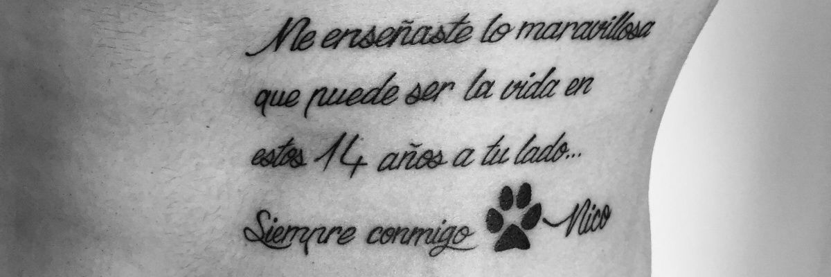 Carlos Moraga Martín-Portugués banner