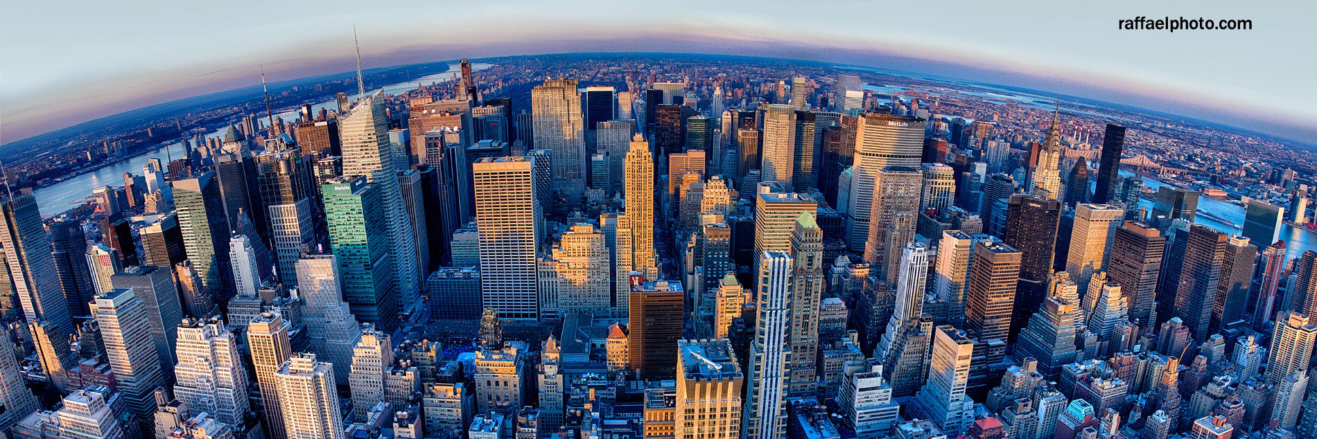 IACCNewYork's profile banner image