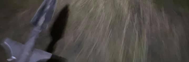 Most Normal Man Alive banner