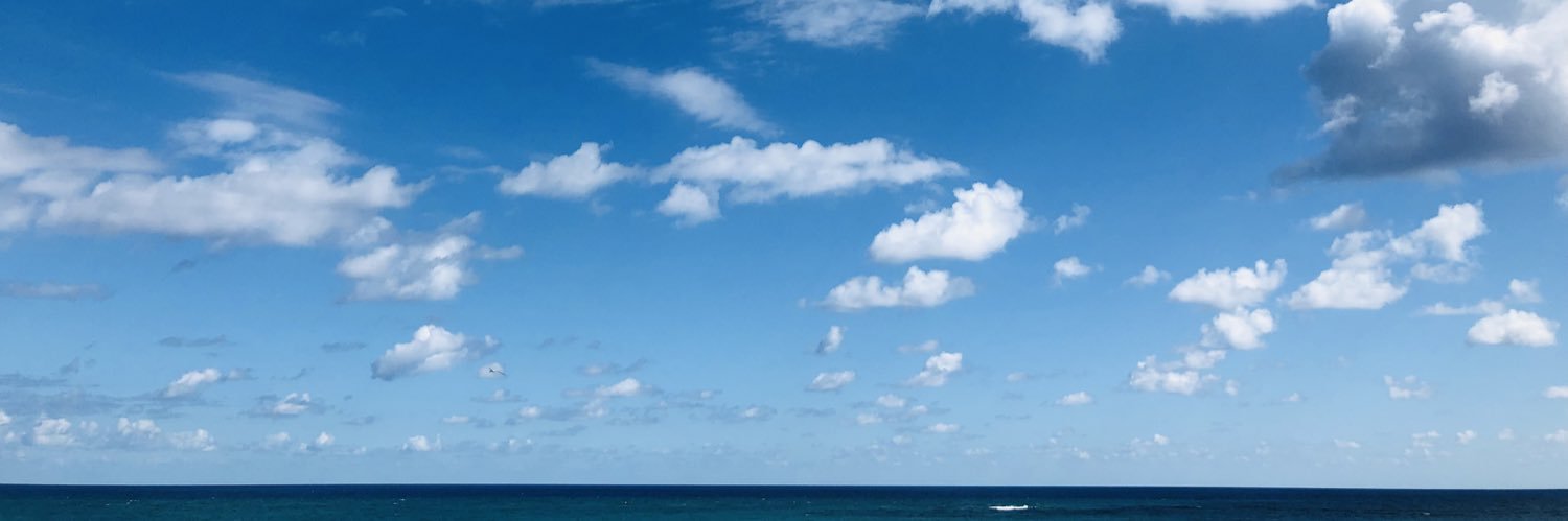 lalarockula's profile banner image
