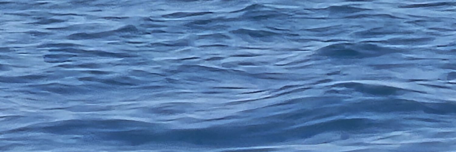 R000000000's profile banner image
