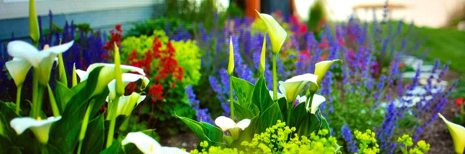 PRLandscapes's profile banner image