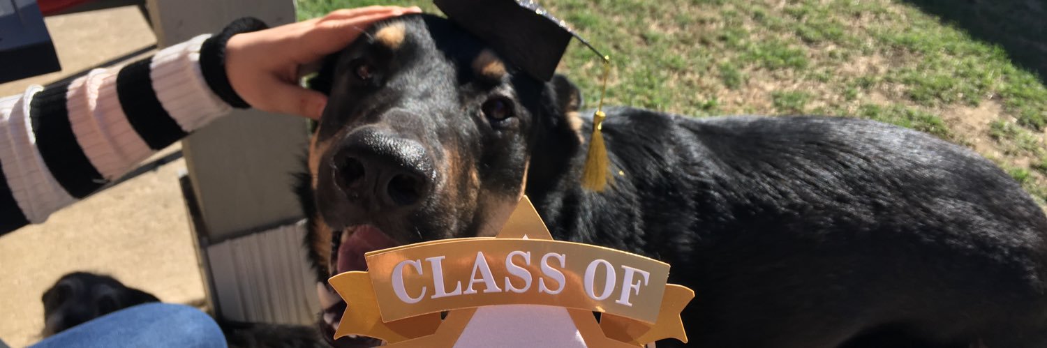 jacksonemmett22's profile banner image