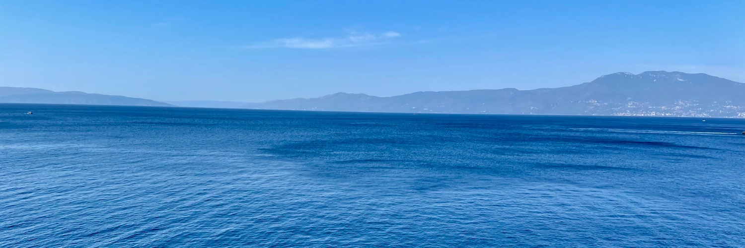 Danijela Vrzan banner