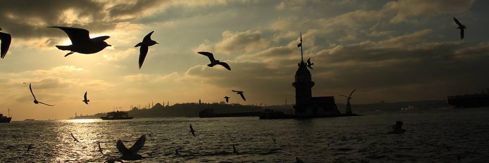 ozlemir's profile banner image