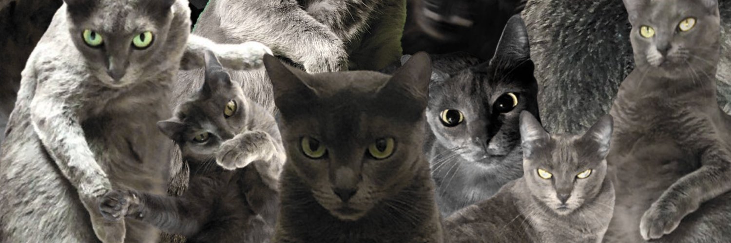 1etici4's profile banner image